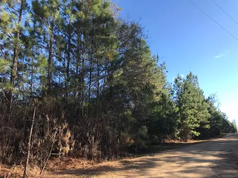 tbd Friendship Rd And Shamrock, Mccomb, MS 39648 photo 2