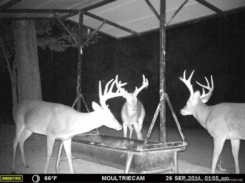 2914 Highway 3 Hwy, Satartia, MS 39162 photo 3