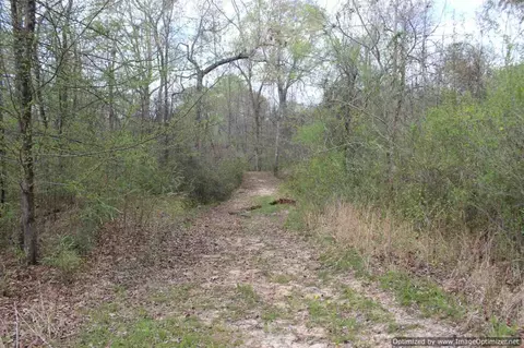 2914 Highway 3 Hwy, Satartia, MS 39162 photo 1