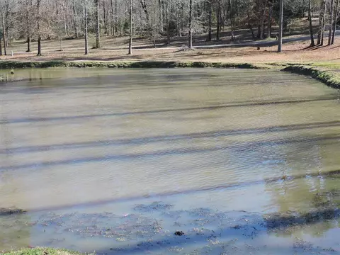 260 S Eagle Ridge Dr, Florence, MS 39073 photo 7