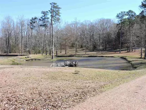 260 S Eagle Ridge Dr, Florence, MS 39073 photo 5