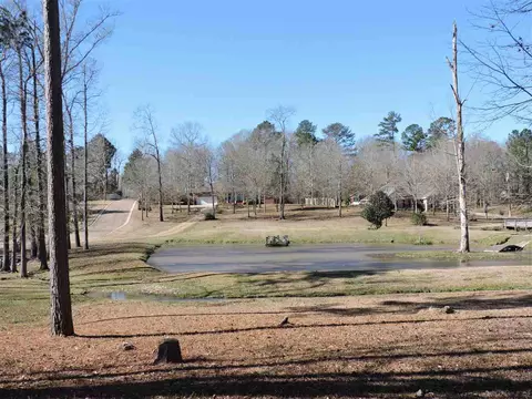 260 S Eagle Ridge Dr, Florence, MS 39073 photo 42