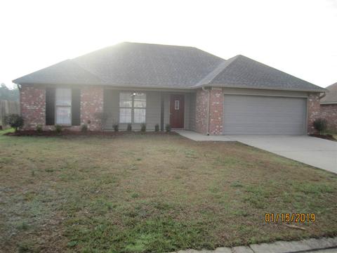 179 Cedar Spring Cir, Pearl, MS 39208 photo 1