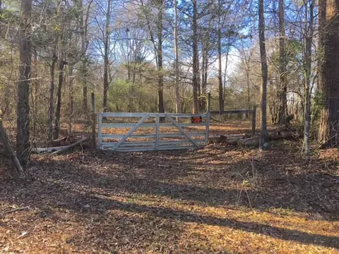 137 Sterling Oaks Dr, Brandon, MS 39042 photo 32
