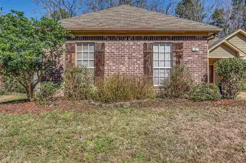 137 Post Oak Dr, Brandon, MS 39047 photo 4