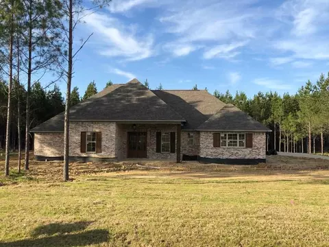 1009 Limerick Ln, Brandon, MS 39047 photo 1