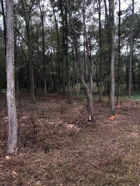 2003 Ole Springs Rd, Summit, MS 39666 photo 12