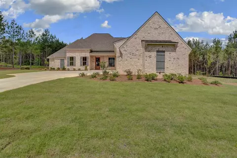 779 Clover Ridge Way, Brandon, MS 39047 photo 1