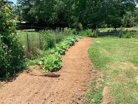 1007 Ernest Thompson Rd, Ruth, MS 39662 photo 13