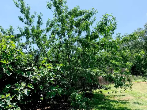 1007 Ernest Thompson Rd, Ruth, MS 39662 photo 10