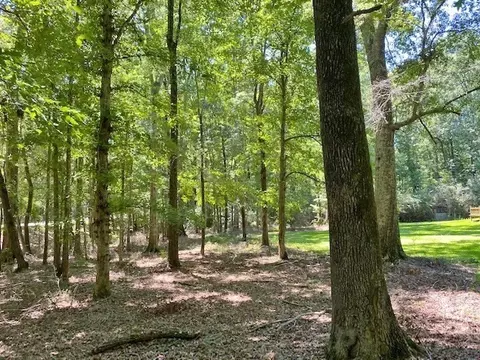 5061 Highway 98 W, Summit, MS 39666 photo 21