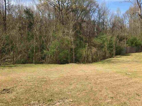 442 Pecan Cir, Brandon, MS 39042 photo 5