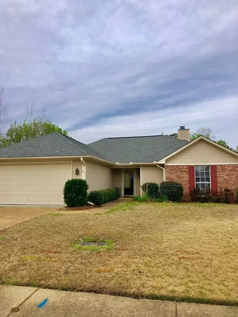 100 Willow Oak Ln, Brandon, MS 39047 photo 18