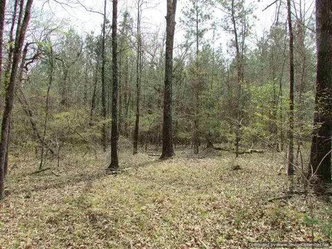 178 Fox Run Rd, Canton, MS 39046 photo 21