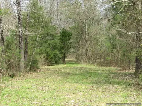 178 Fox Run Rd, Canton, MS 39046 photo 18