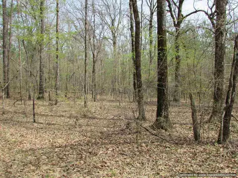 178 Fox Run Rd, Canton, MS 39046 photo 22