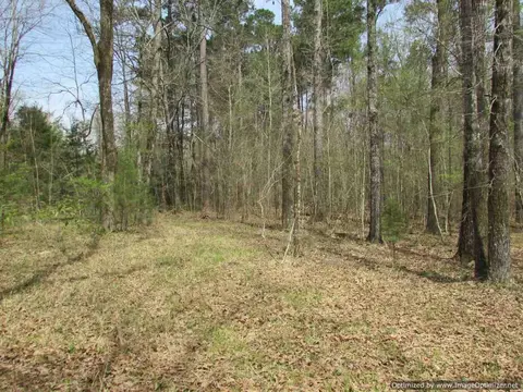 178 Fox Run Rd, Canton, MS 39046 photo 20