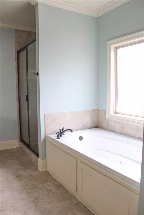 102 Pinnacle Cv, Madison, MS 39110 photo 17