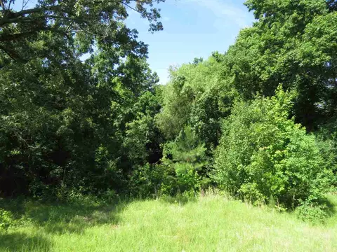 1205 Mccluer Rd, Jackson, MS 39212 photo 9