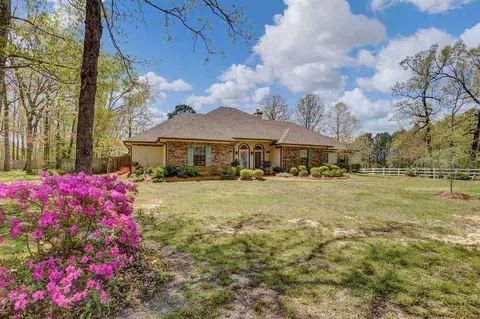 113 Meadowview Dr, Brandon, MS 39047 photo 3