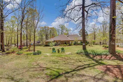 113 Meadowview Dr, Brandon, MS 39047 photo 4