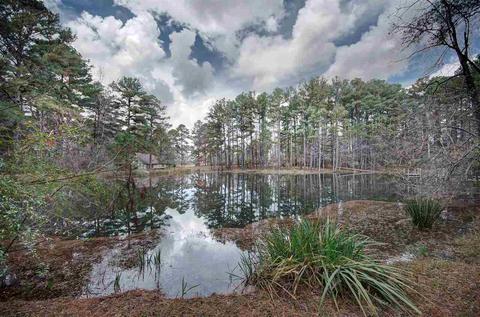 124 Blackbridge Dr, Brandon, MS 39042 photo 7