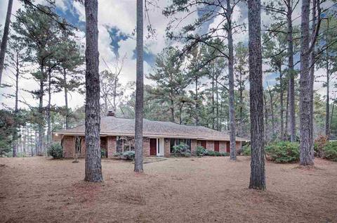 124 Blackbridge Dr, Brandon, MS 39042 photo 1