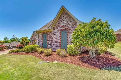 129 Pinnacle Cir, Brandon, MS 39047 photo 5