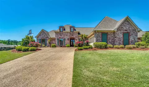 129 Pinnacle Cir, Brandon, MS 39047 photo 3