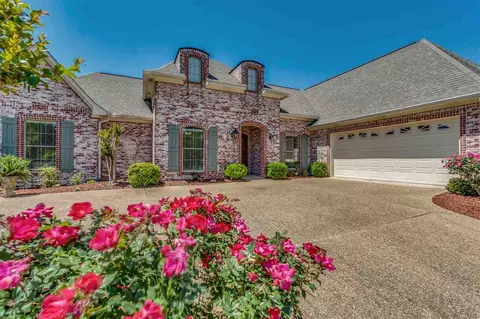 129 Pinnacle Cir, Brandon, MS 39047 photo 1