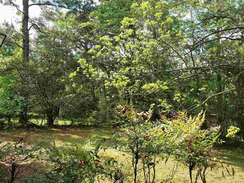 1620 Brecon Dr, Jackson, MS 39211 photo 36