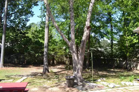 120 Silvertree Xing, Madison, MS 39110 photo 42