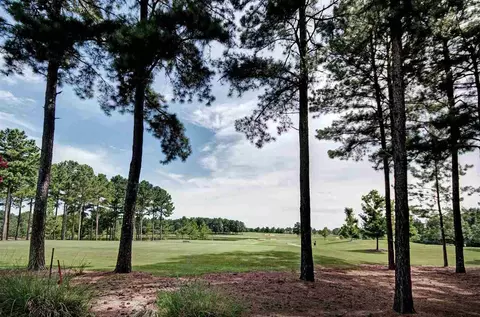 119 Ivy Brook Dr, Madison, MS 39110 photo 10