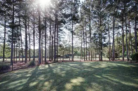 119 Ivy Brook Dr, Madison, MS 39110 photo 11