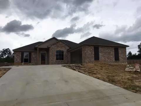 309 Bald Cypress Cv, Terry, MS 39170 photo 1