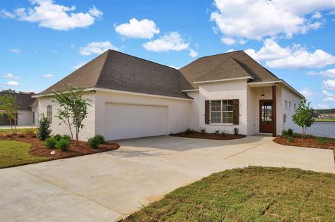131 Shore View Dr, Madison, MS 39110 photo 50