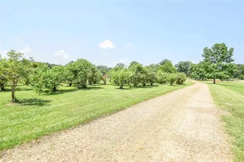 5500 Springridge Rd, Raymond, MS 39154 photo 47