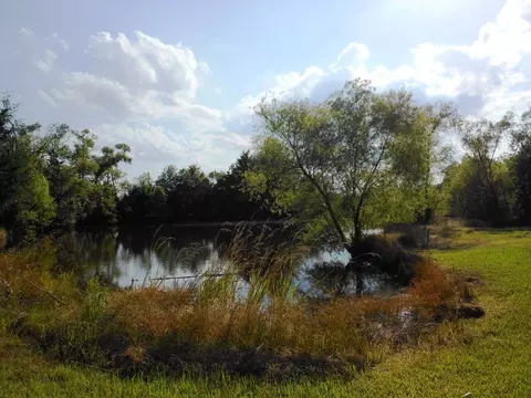 124 Teresa Ln, Flora, MS 39071 photo 35