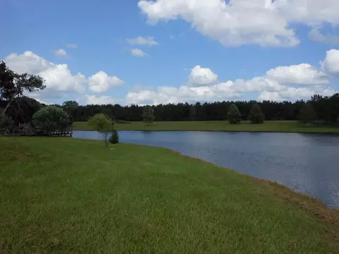 124 Teresa Ln, Flora, MS 39071 photo 39