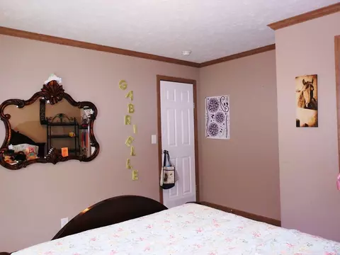 124 Teresa Ln, Flora, MS 39071 photo 28