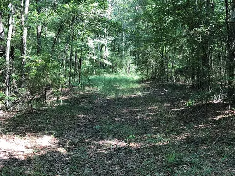 1108 Roy Deere Rd, Summit, MS 39666 photo 33