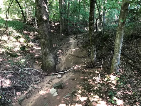 1108 Roy Deere Rd, Summit, MS 39666 photo 34