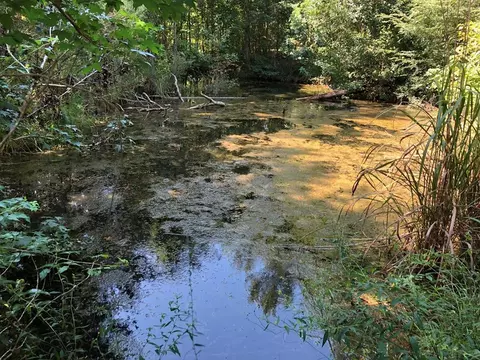 1108 Roy Deere Rd, Summit, MS 39666 photo 3