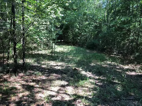 1108 Roy Deere Rd, Summit, MS 39666 photo 32