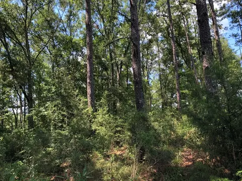1108 Roy Deere Rd, Summit, MS 39666 photo 17