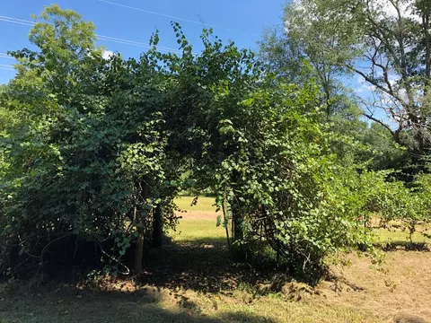 1108 Roy Deere Rd, Summit, MS 39666 photo 18