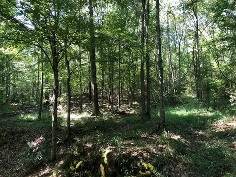 1108 Roy Deere Rd, Summit, MS 39666 photo 35