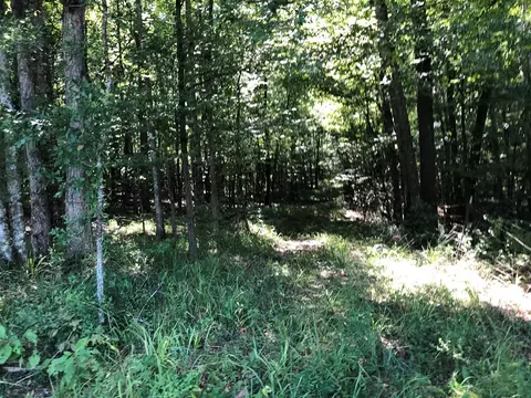 1108 Roy Deere Rd, Summit, MS 39666 photo 28