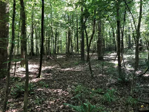 1108 Roy Deere Rd, Summit, MS 39666 photo 30
