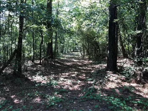1108 Roy Deere Rd, Summit, MS 39666 photo 31